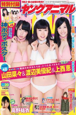 电视剧窝居